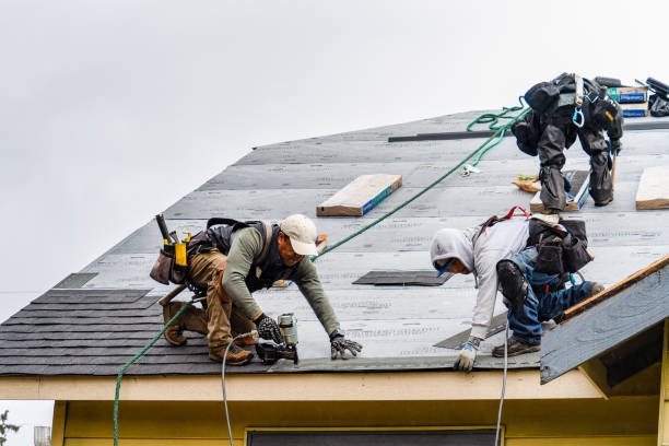 Professional Roofing technician working in Voltaire, ND